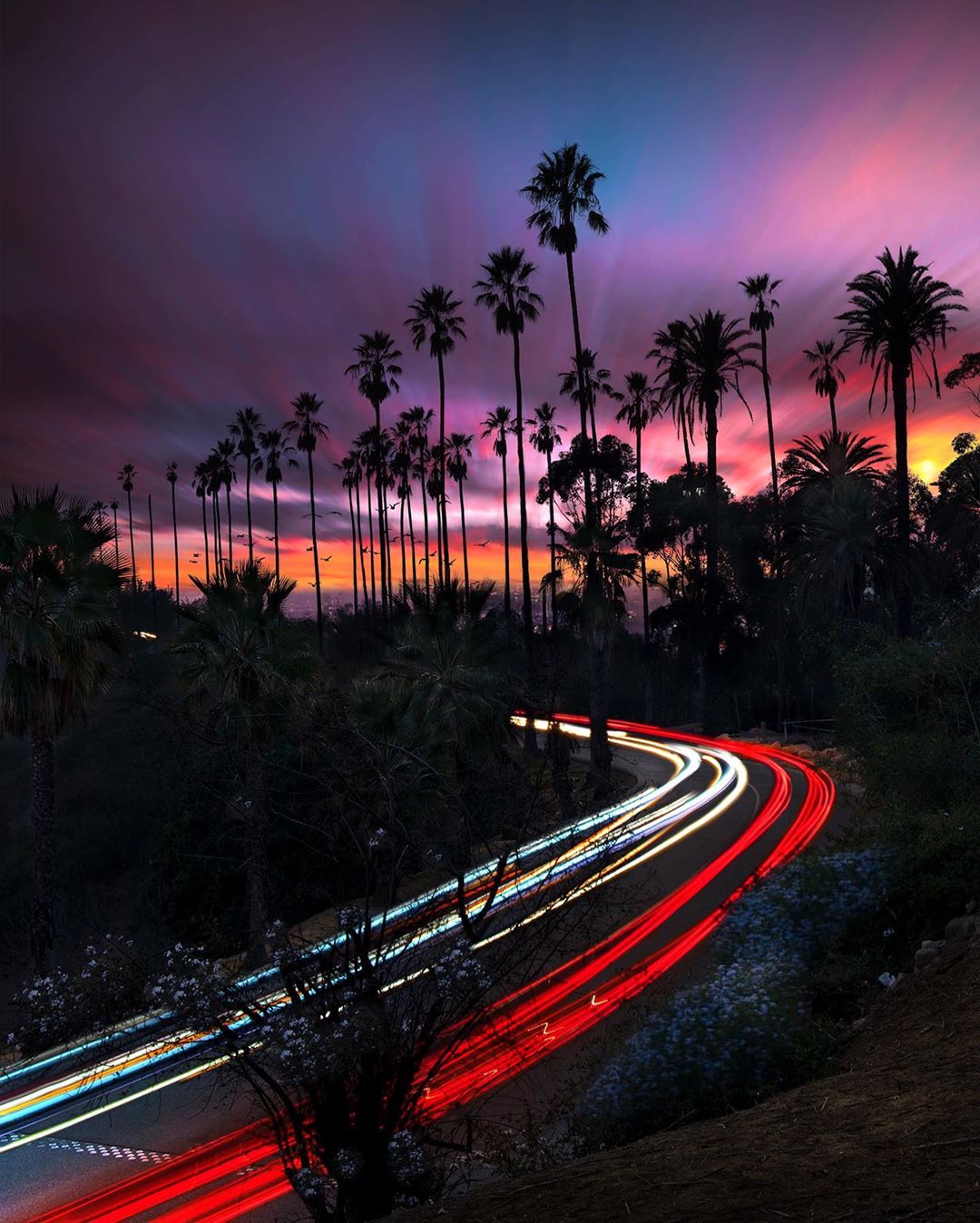 Пейзажные и уличные снимки Калифорнии от Нейта Кэрролла