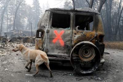 Жуткие кадры последствий масштабного пожара в Калифорнии. Фото