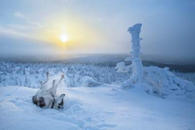 Красивые виды сказочной Лапландии. Фото