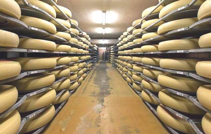 В Швейцарии научились менять вкус сыра при помощи музыки. ВИДЕО