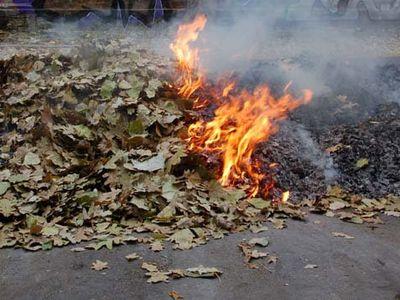 За сжигание сухой листвы украинцев хотят штрафовать на 1300