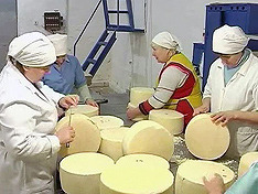 Украина признала плохое качество своего сыра