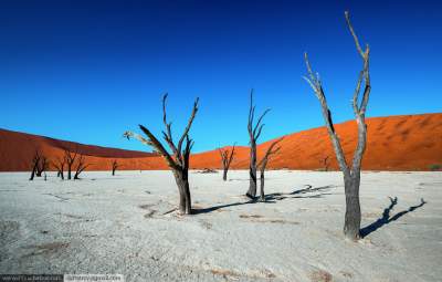 Мертвая соляная пустыня в Африке. Фото