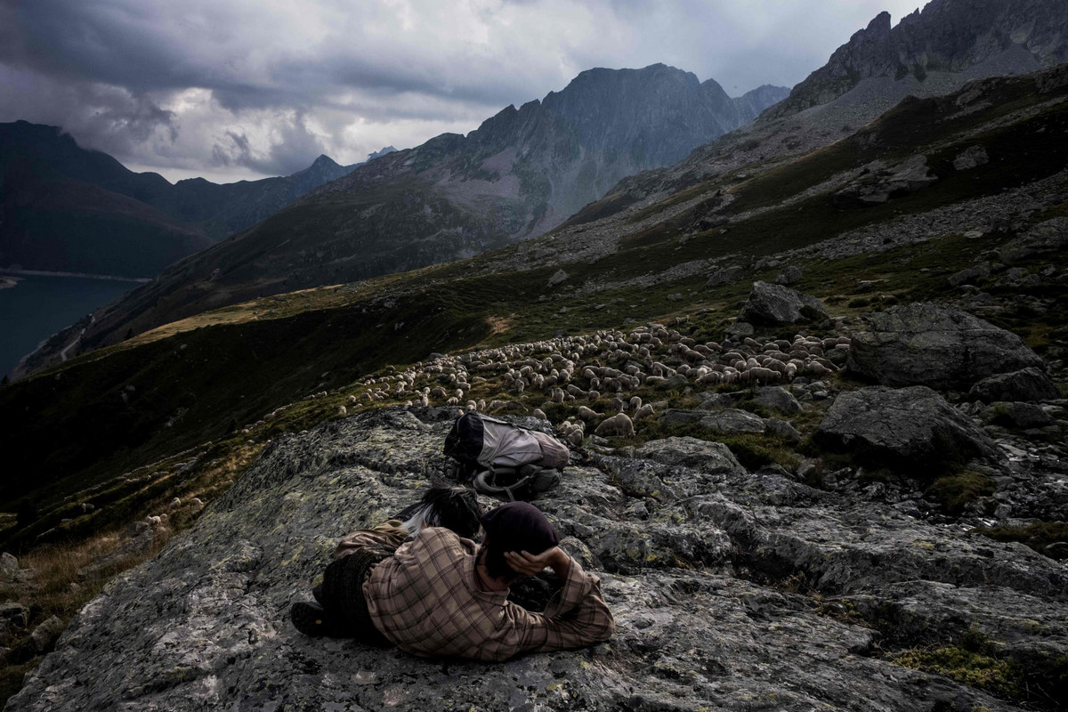 Фоторепортаж о жизни пастуха в Альпах