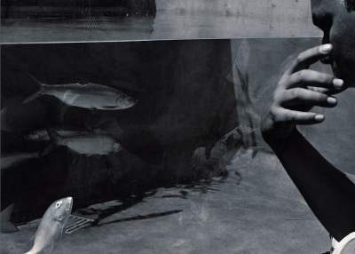 Фотографы показали красоту самых больших аквариумов. Фото
