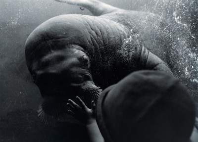 Фотографы показали красоту самых больших аквариумов. Фото