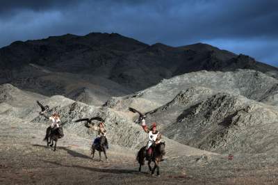 Фотограф показал, как птицы помогают охотиться жителям Монголии. Фото