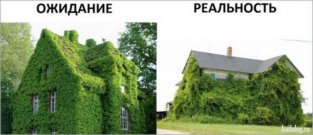 Ожидание и реальность (30 фото)