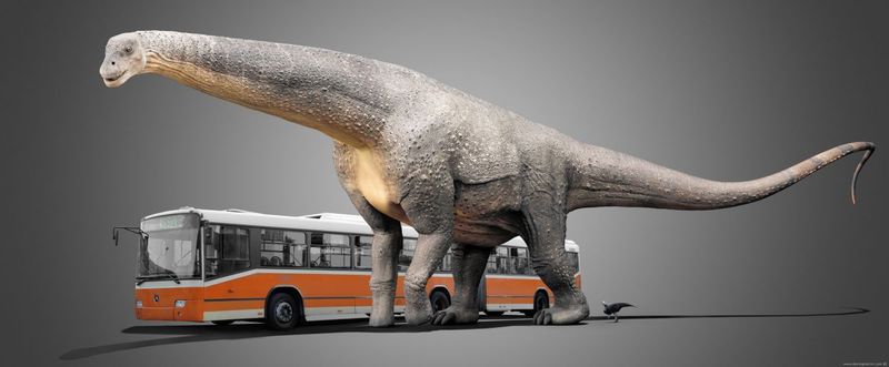 Самые маленькие и самые большие динозавры (