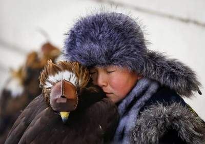 Лучшие снимки животных 2018 года от Reuters. Фото