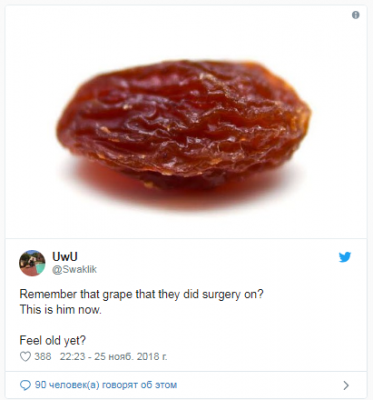 Сеть насмешили мемы о виноградинке, перенесшей операцию