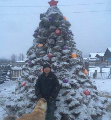 Россиян поздравили с наступающими праздниками елкой из навоза
