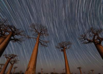 National Geographic показал лучшие снимки года. Фото