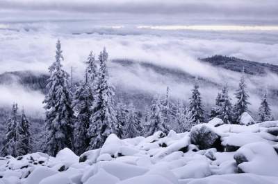 Настоящая зима глазами немецкого фотографа. Фото
