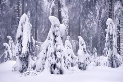 Настоящая зима глазами немецкого фотографа. Фото