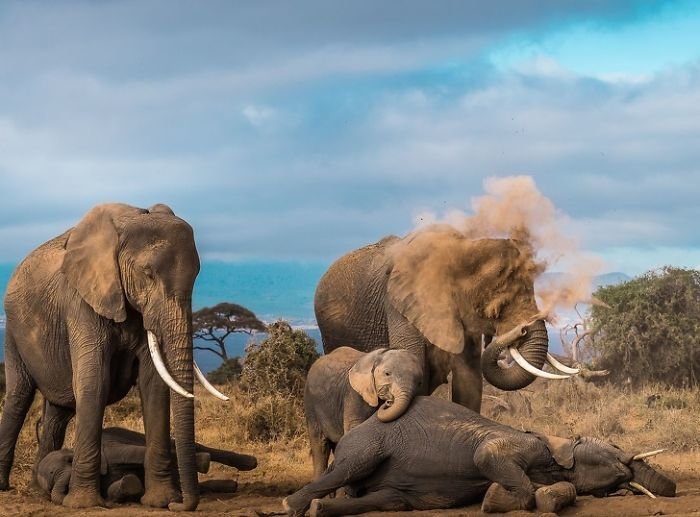 Лучшие снимки журнала National Geographic 2018