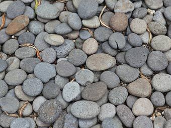 Заксобрание Свердловской области спрятало камни от ворон