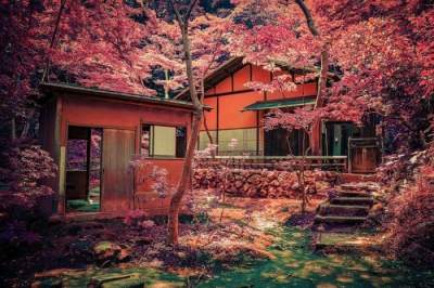 Фотограф показал красоту сказочной Японии. Фото