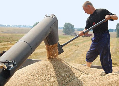 Кабмин взвинтил мировые цены на пшеницу 