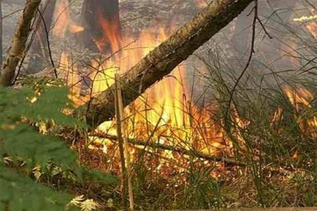 На выходных в Украине ожидается чрезвычайная пожарная опасность