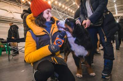 В Киеве показали самых красивых собак со всей Европы. Фото