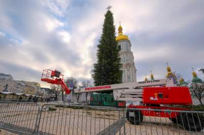 В Сети показали кадры монтажа главной елки Украины. Фото