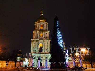 В Киеве украшают главную елку страны. Фото