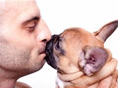 Собачьи поцелуи вредны для зубов
