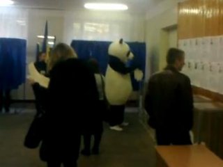 В столице на выборы пришла голосовать панда