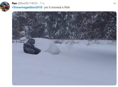 Американцы делятся снимками снежной бури в США. Фото