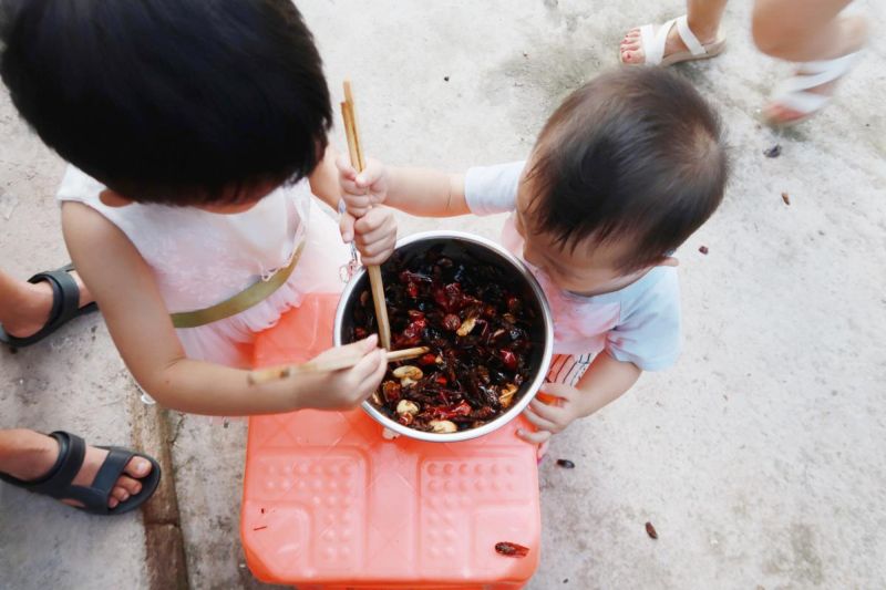 Тараканы утилизируют пищевые отходы в Китае