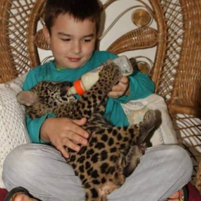 Этот мальчик вырос среди ягуаров. Фото