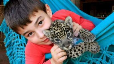 Этот мальчик вырос среди ягуаров. Фото