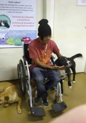 Сеть покорили собаки, пришедшие в больницу к бездомному хозяину