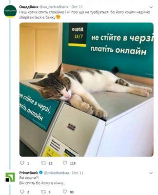 Украинские банки устроили эпическую «битву котов»