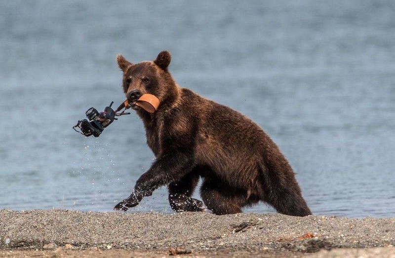 Неприятности случаются