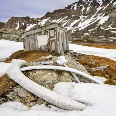 Исторические достопримечательности в лучших снимках года. Фото