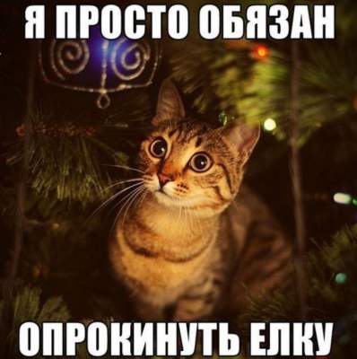 Новогодние мемы, которые не оставят вас без улыбки