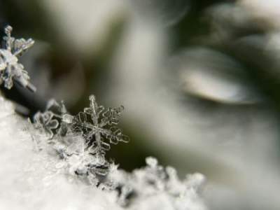 Снежинки крупным планом в необычном фотопроекте. Фото  