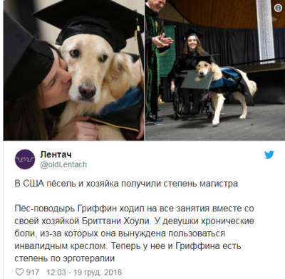 Собака-поводырь получила степень магистра вместе со своей хозяйкой