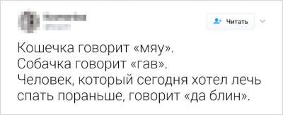 Прелести взрослой жизни высмеяли смешными твитами