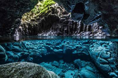 Красивые снимки подводного мира на поверхности воды. Фото