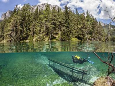 Красивые снимки подводного мира на поверхности воды. Фото