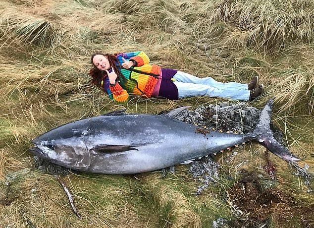 На шотландское побережье выбросило тунца размером с человека