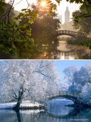 Как зима меняет живописные места разных уголков планеты. Фото