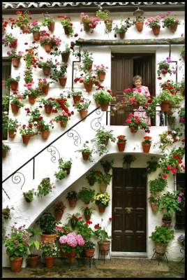 Самые красивые в мире дома, утопающие в цветах. Фото