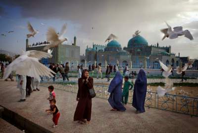 Красотой этой Голубой мечети восхищается весь мир. Фото