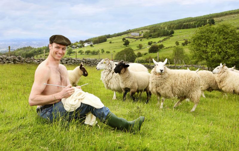 Календарь на 2019 год от ирландских фермеров