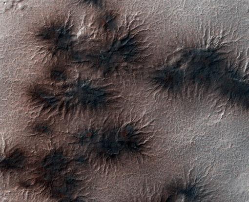 На Марсе нашли гигантских "пауков"