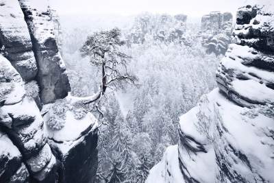 Заснеженные горные леса в объективе немецкого фотографа. Фото